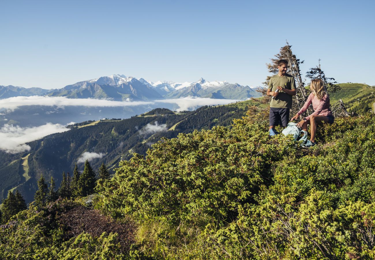 Ferienwohnung in Piesendorf - Maiskogelblick - TOP 3